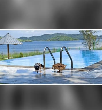 Misty Dam Resort