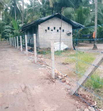 Rafeeque