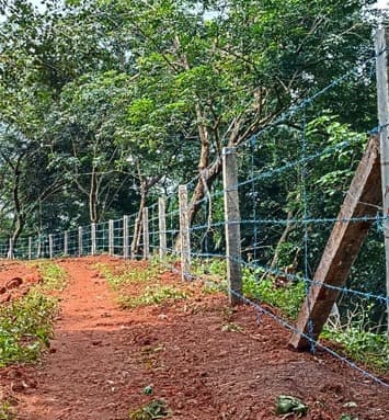 Extreme Fencing 