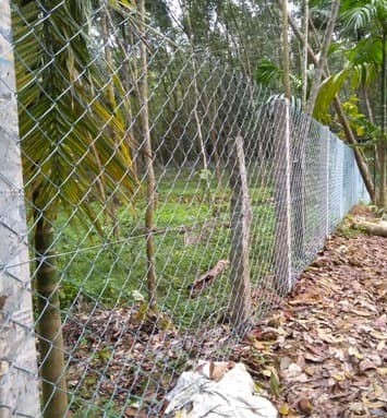 Extreme Fencing 