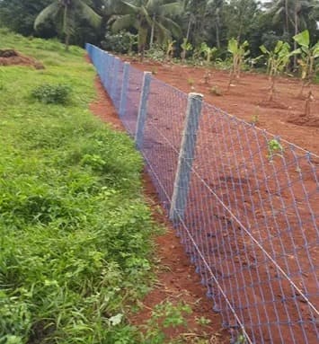 Extreme Fencing 