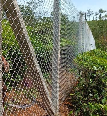 Extreme Fencing 