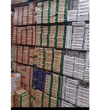 VM Electricals