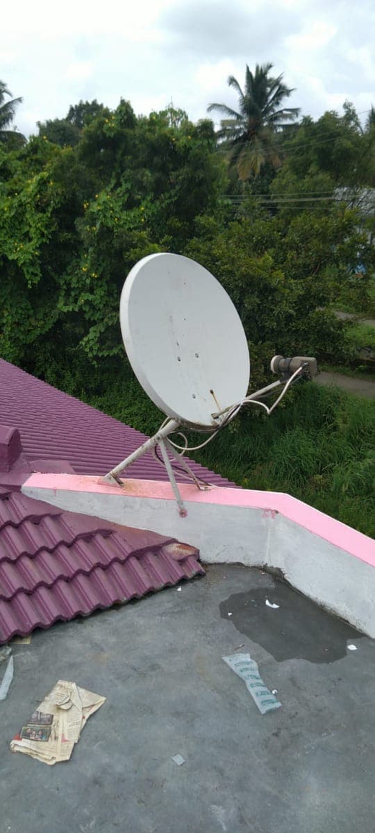Tek D2H Service