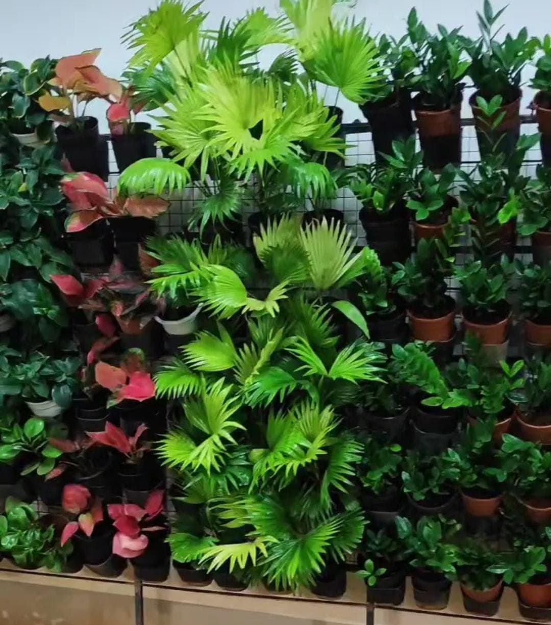 Puthusseriyil Green Concept