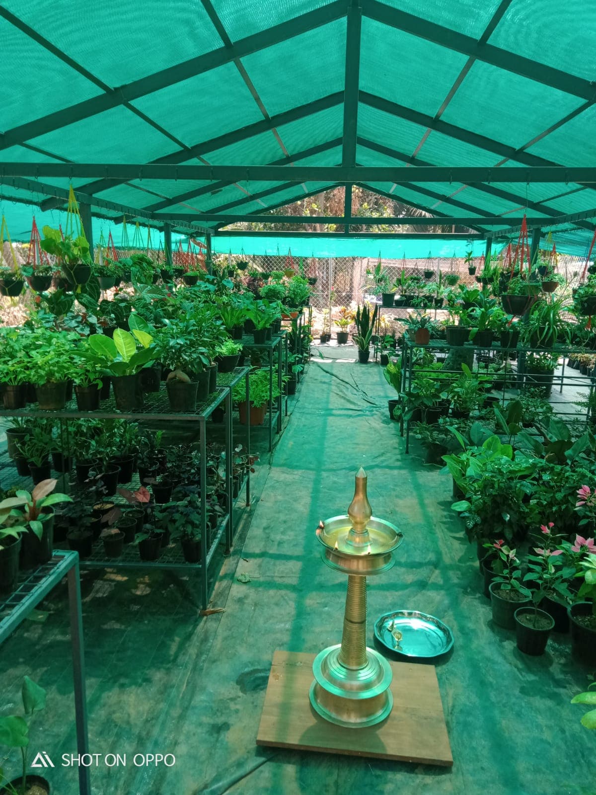Neelavaaka Plant Nursery