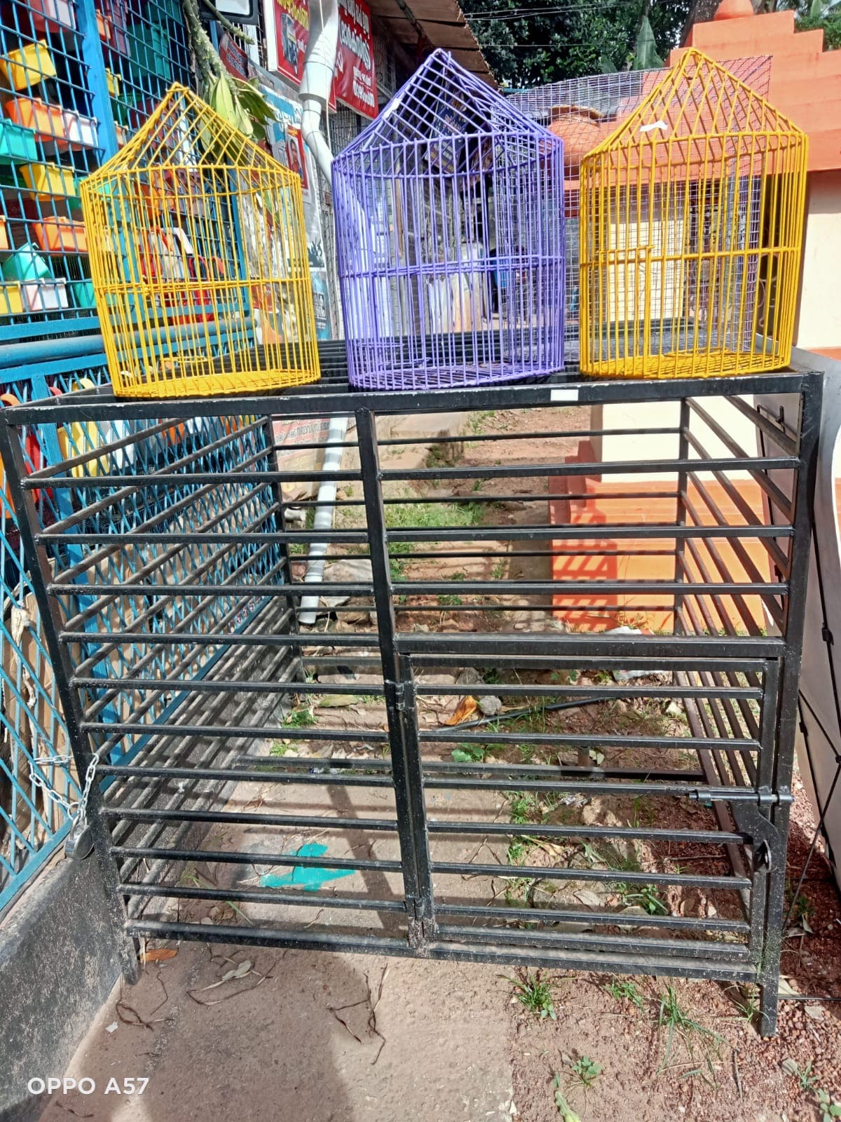 MMS Aquarium And Pet Shop