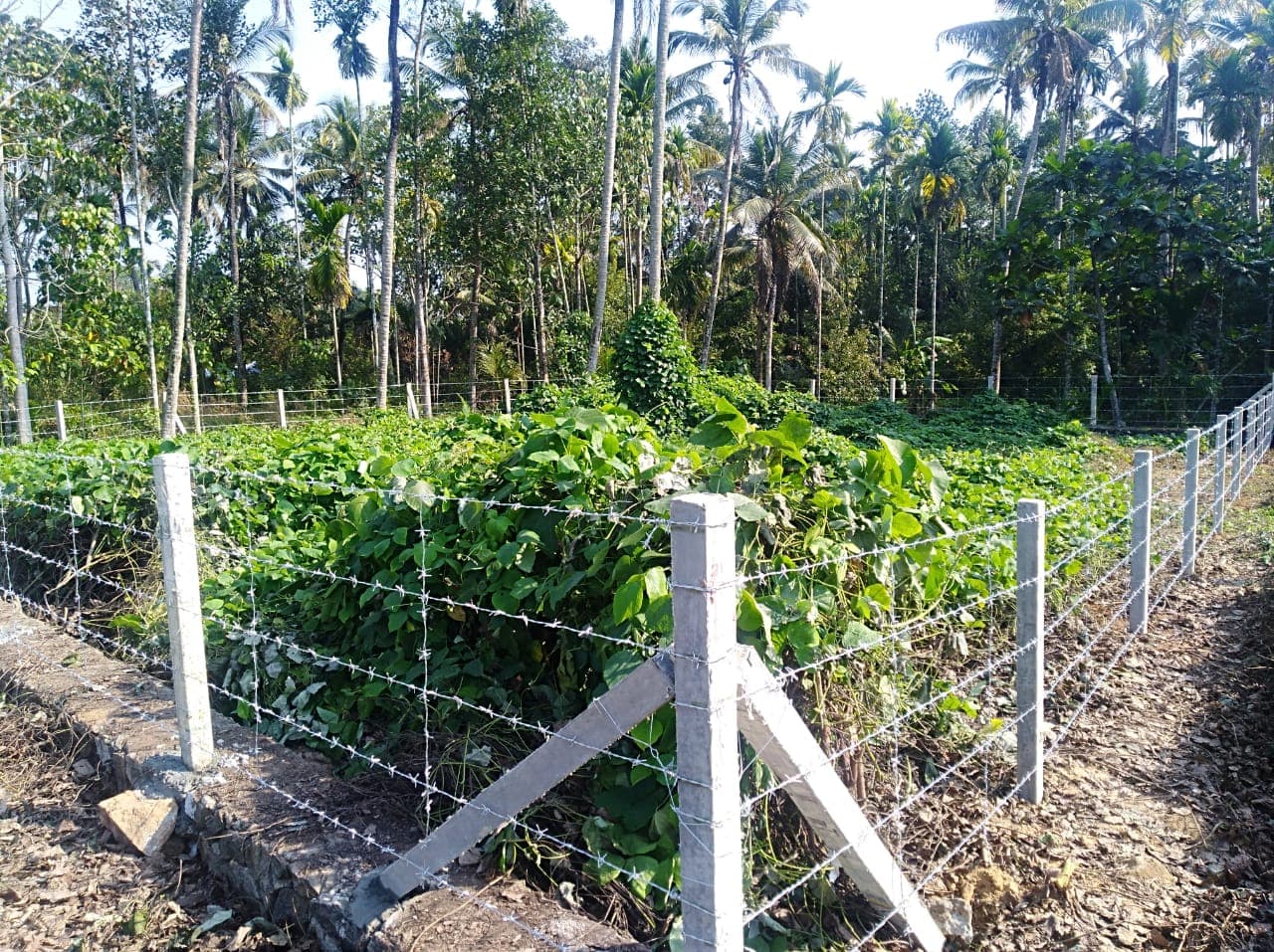 Fazz Fencing Work