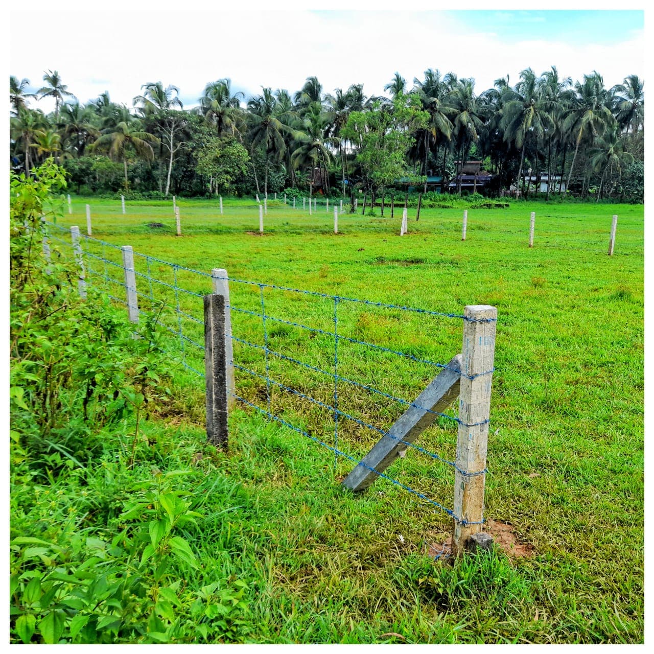 Fazz Fencing Work