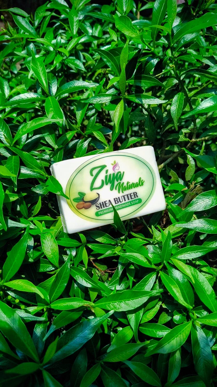 Ziya Naturals