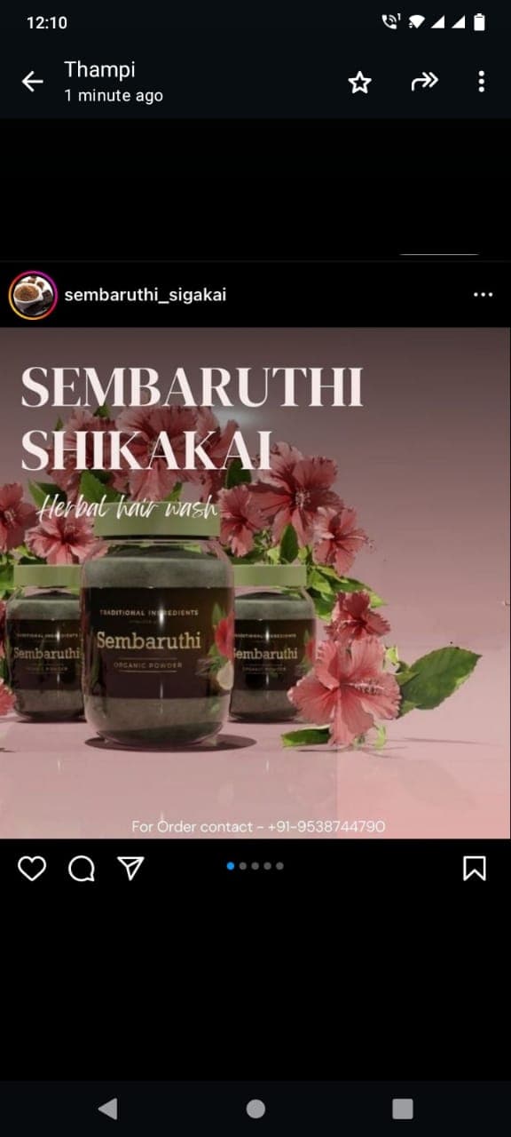 Sembaruthi Shikakai Tamilnadu