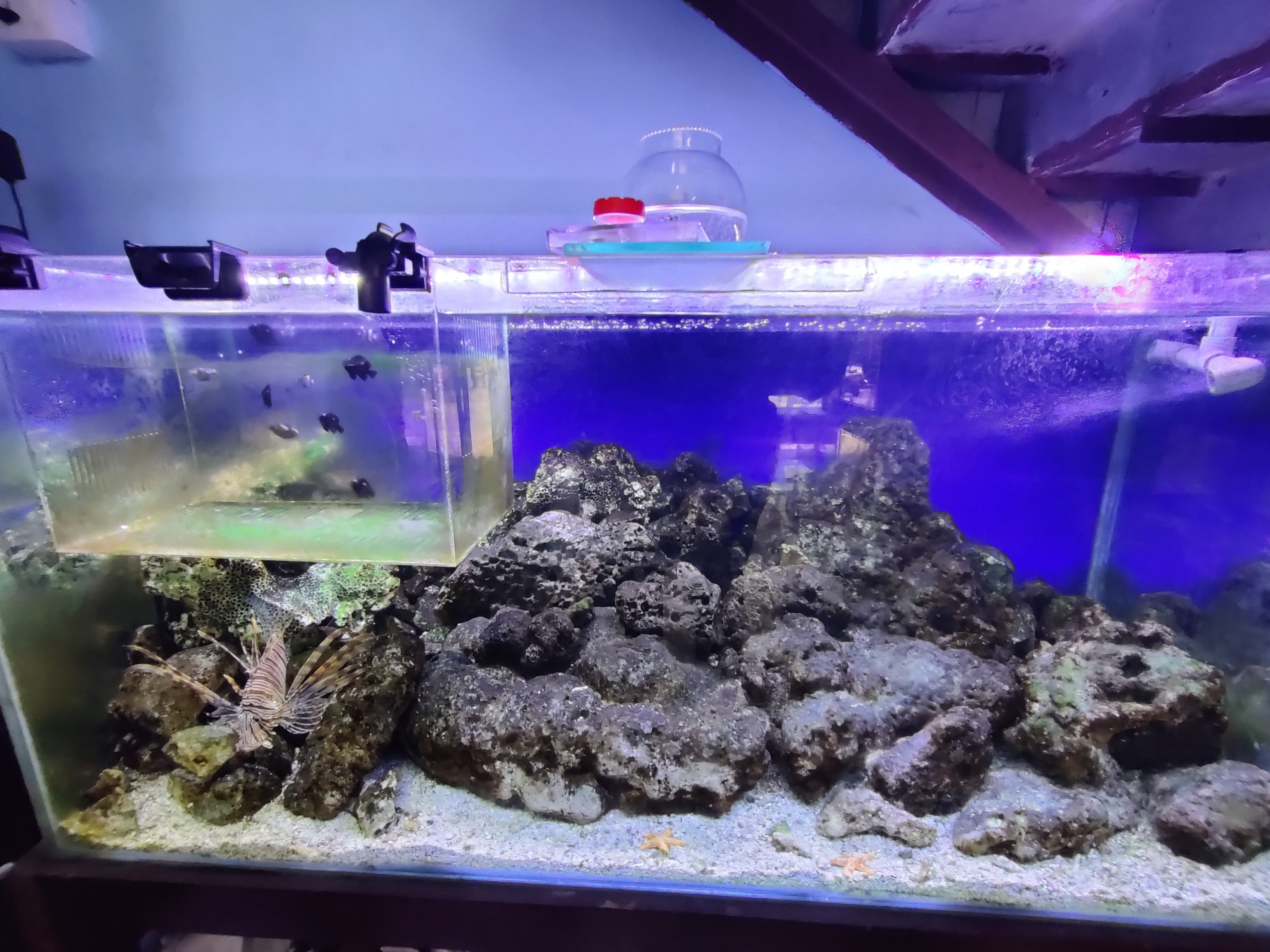 Akhil Aquarium