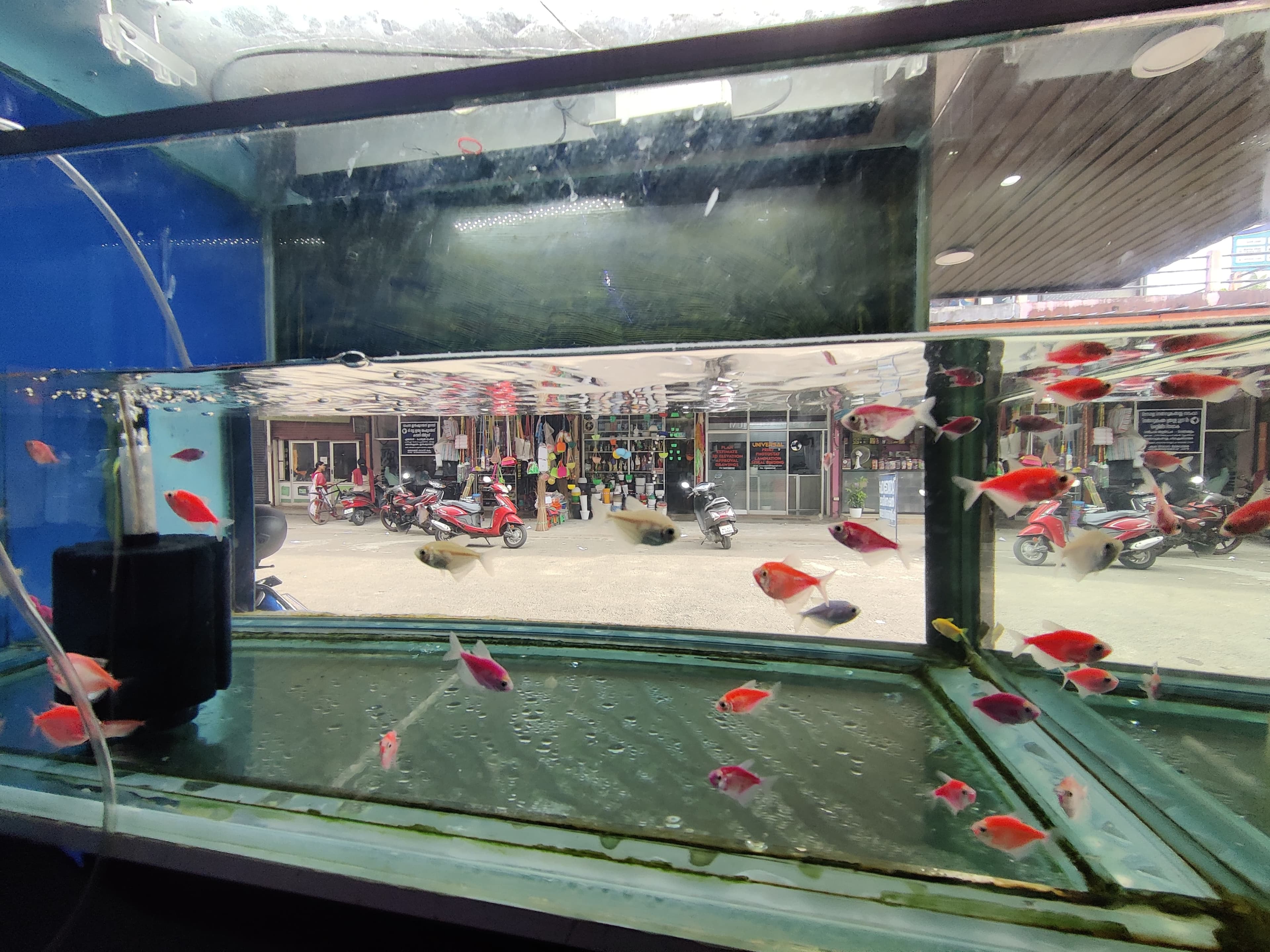 Akhil Aquarium