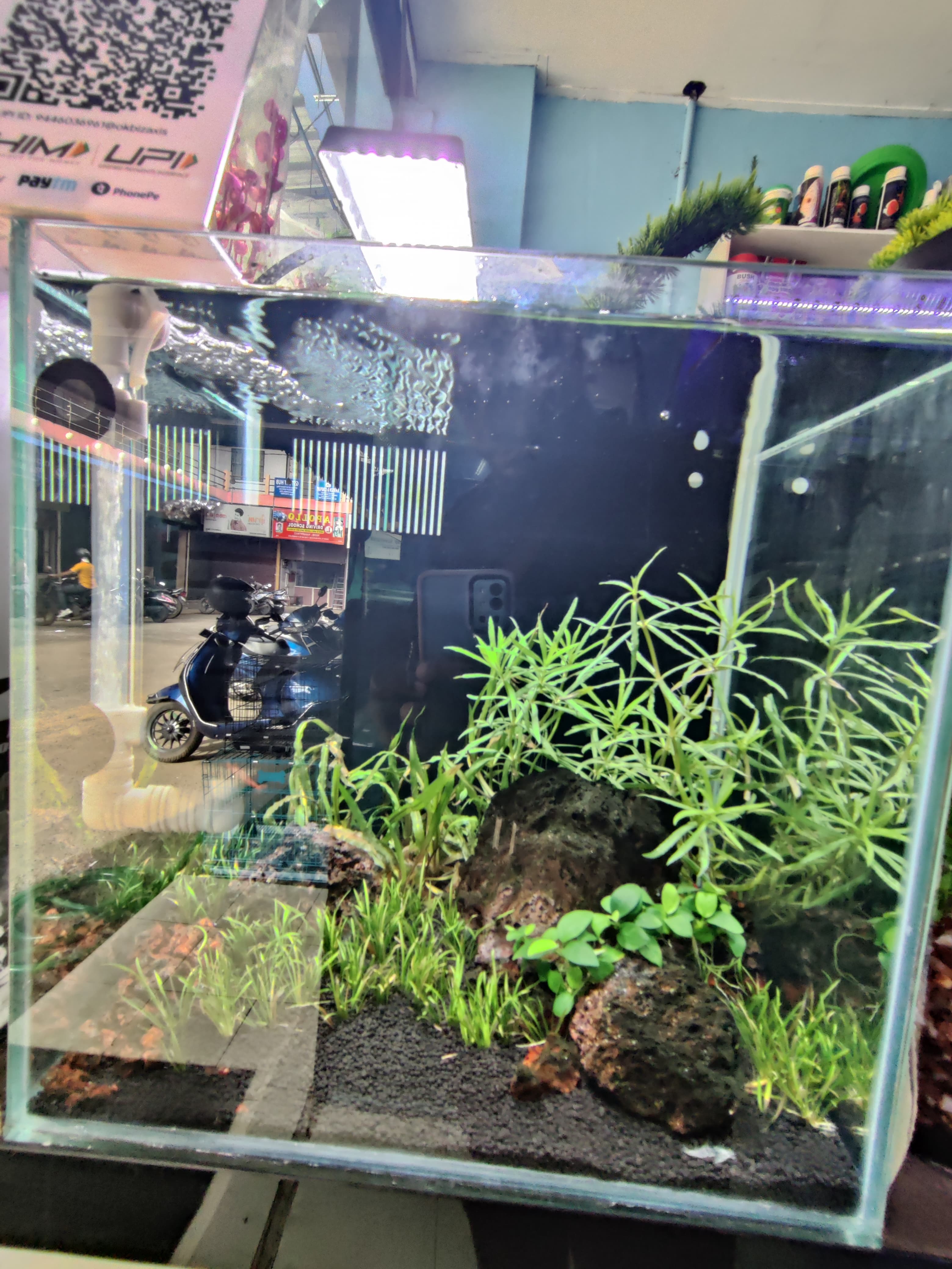 Akhil Aquarium