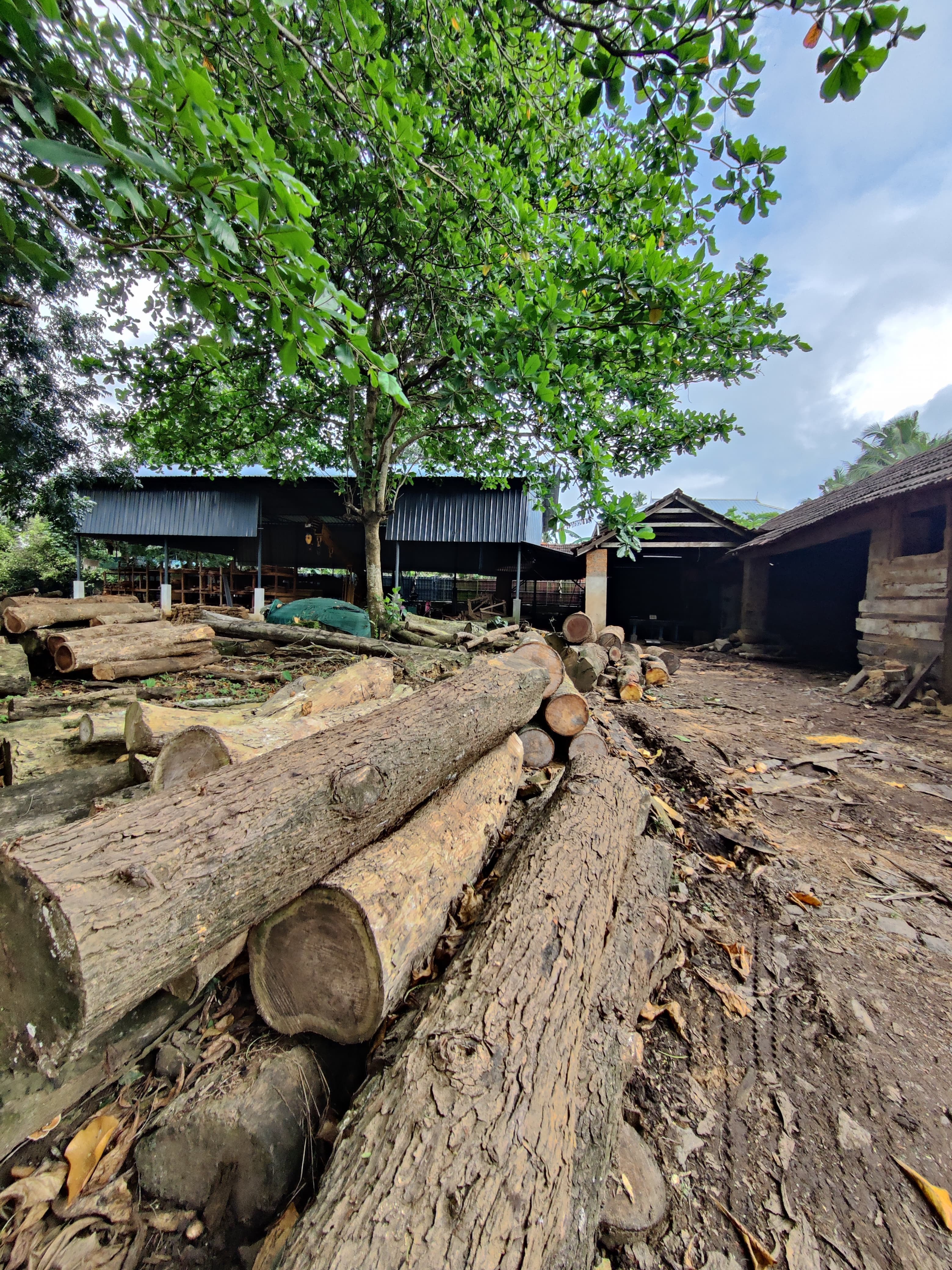 Vimala Saw Mill & Wood Industries 