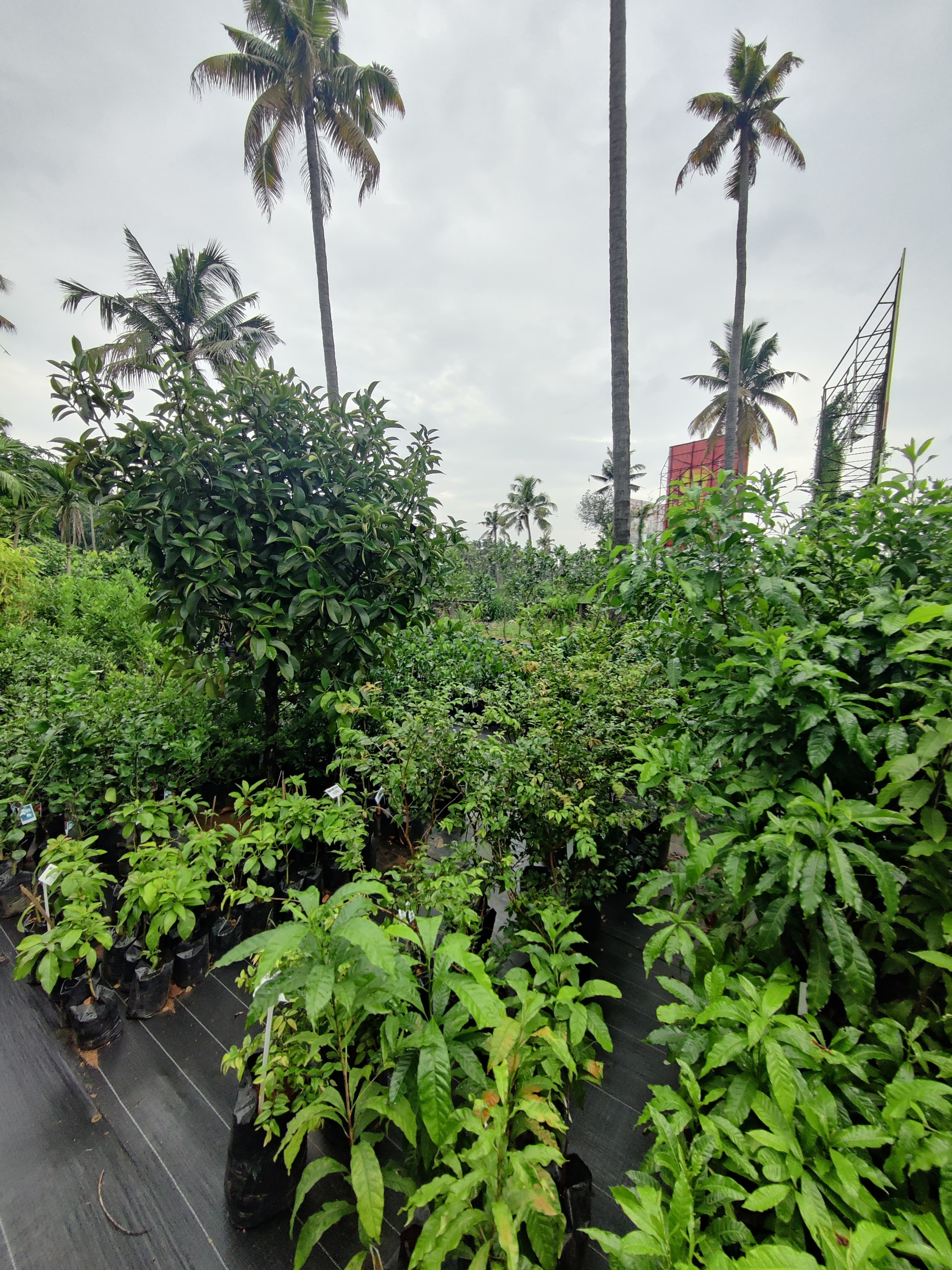 Help Ever Agri.Farms, Wholesales & Retail