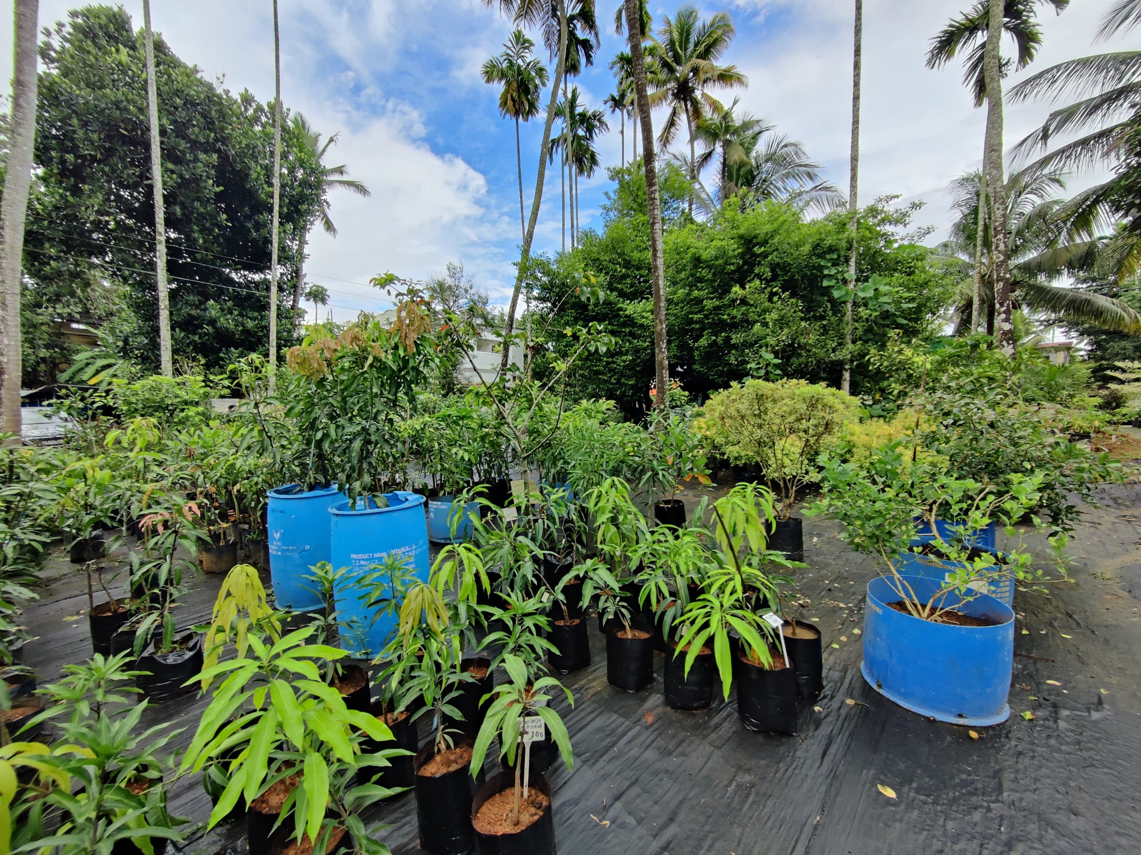 Green World Agri Farm