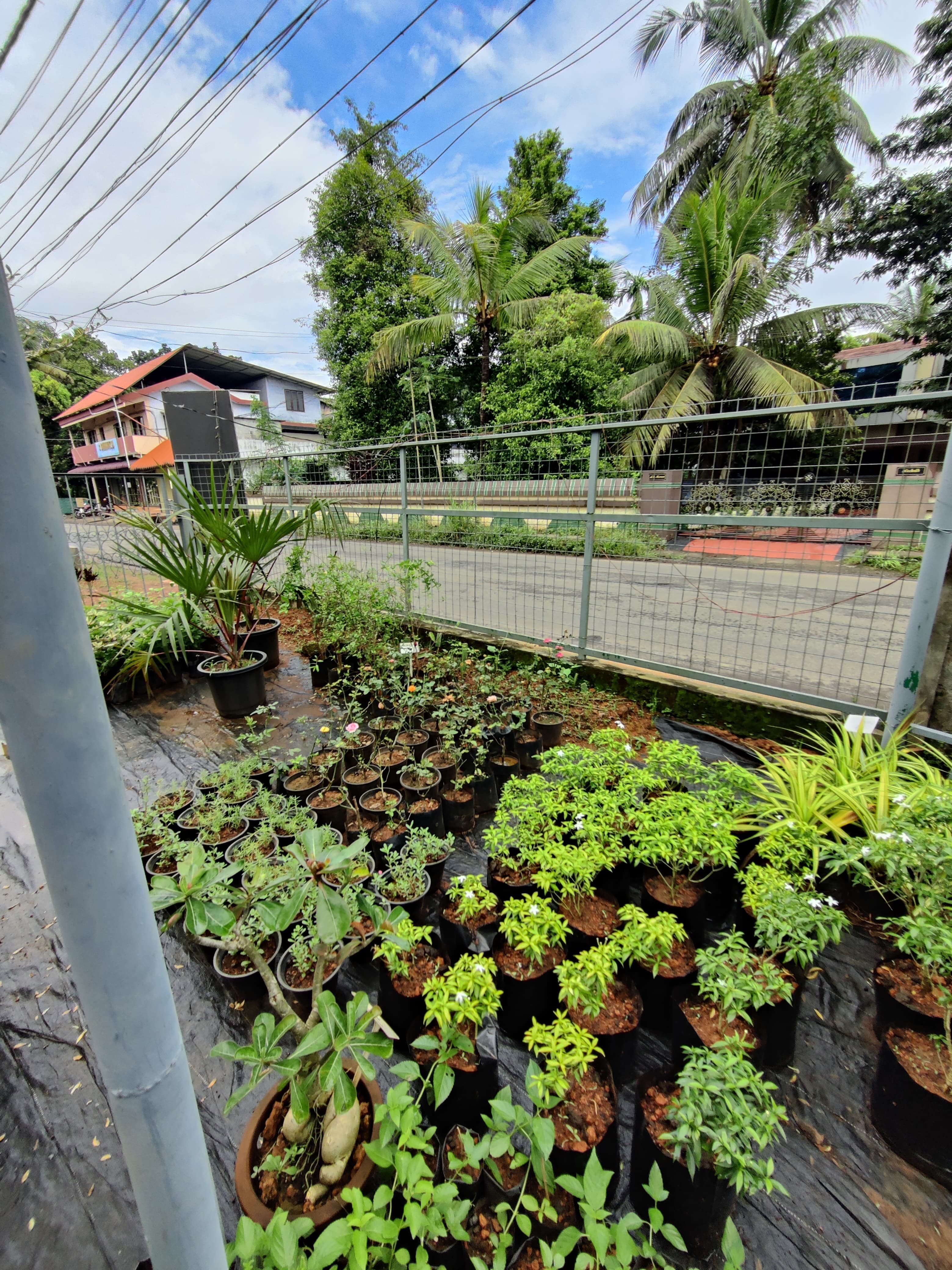 Green World Agri Farm