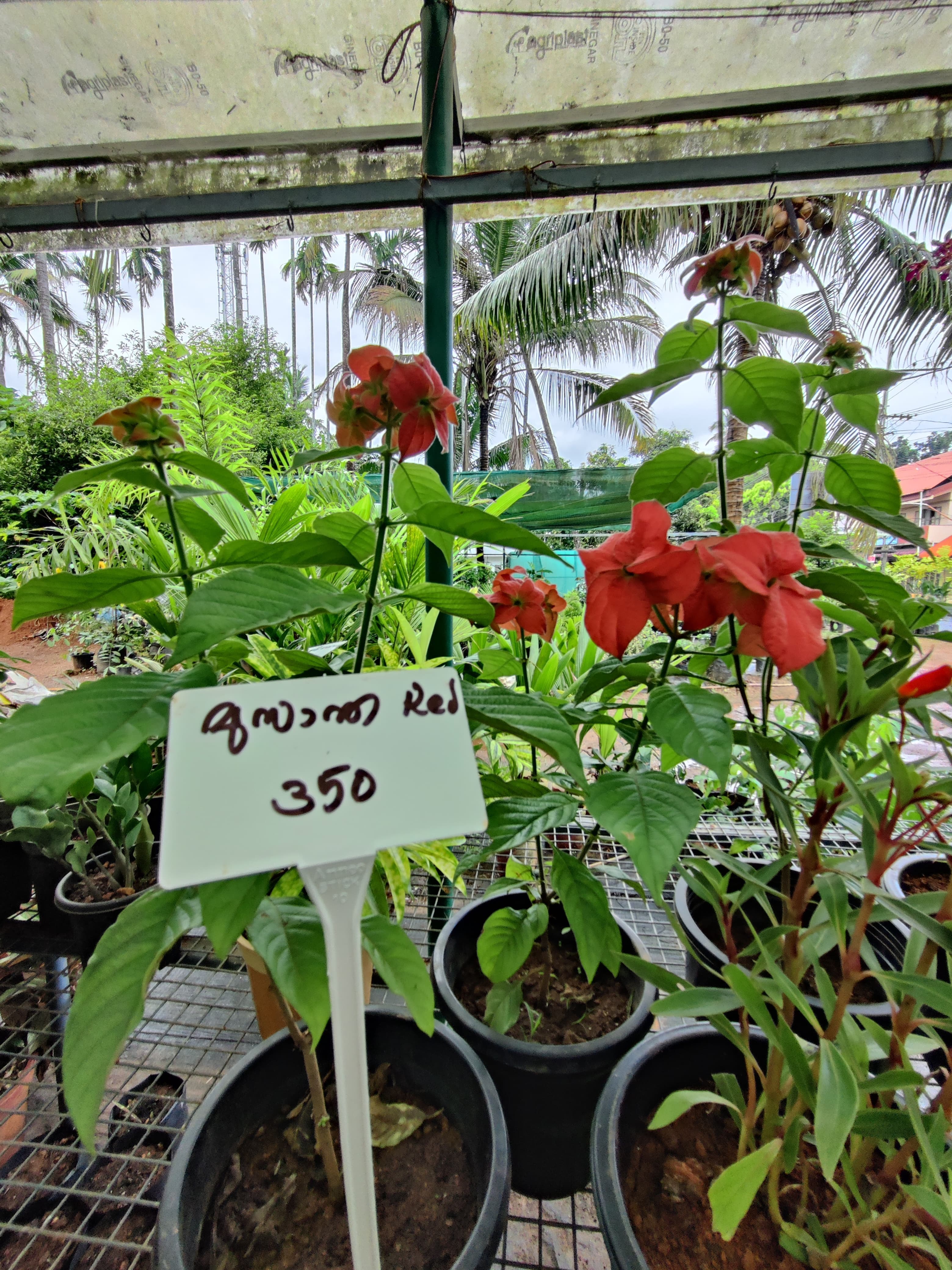 Green World Agri Farm