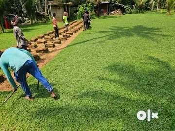  Sri Parvathy Garden 