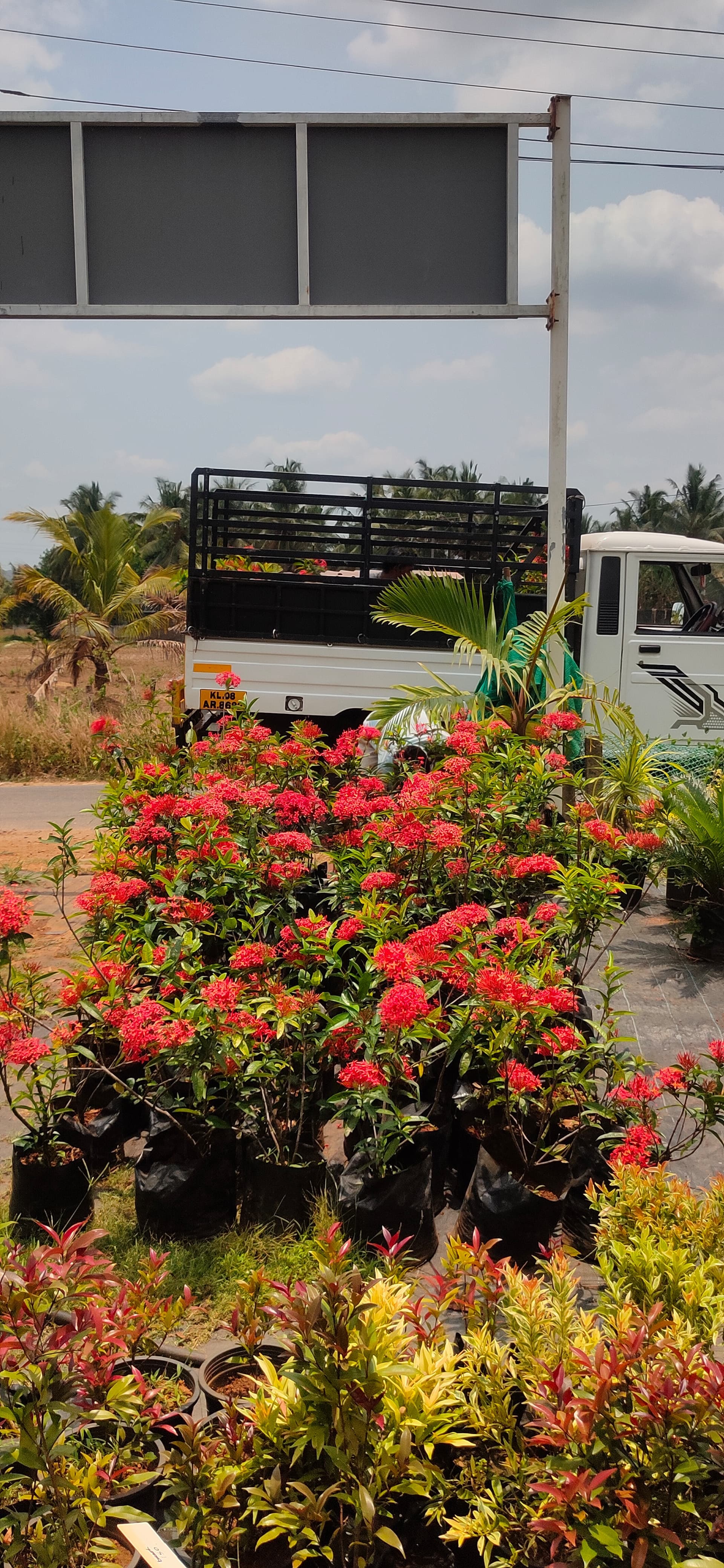 Green Kerala Nursery