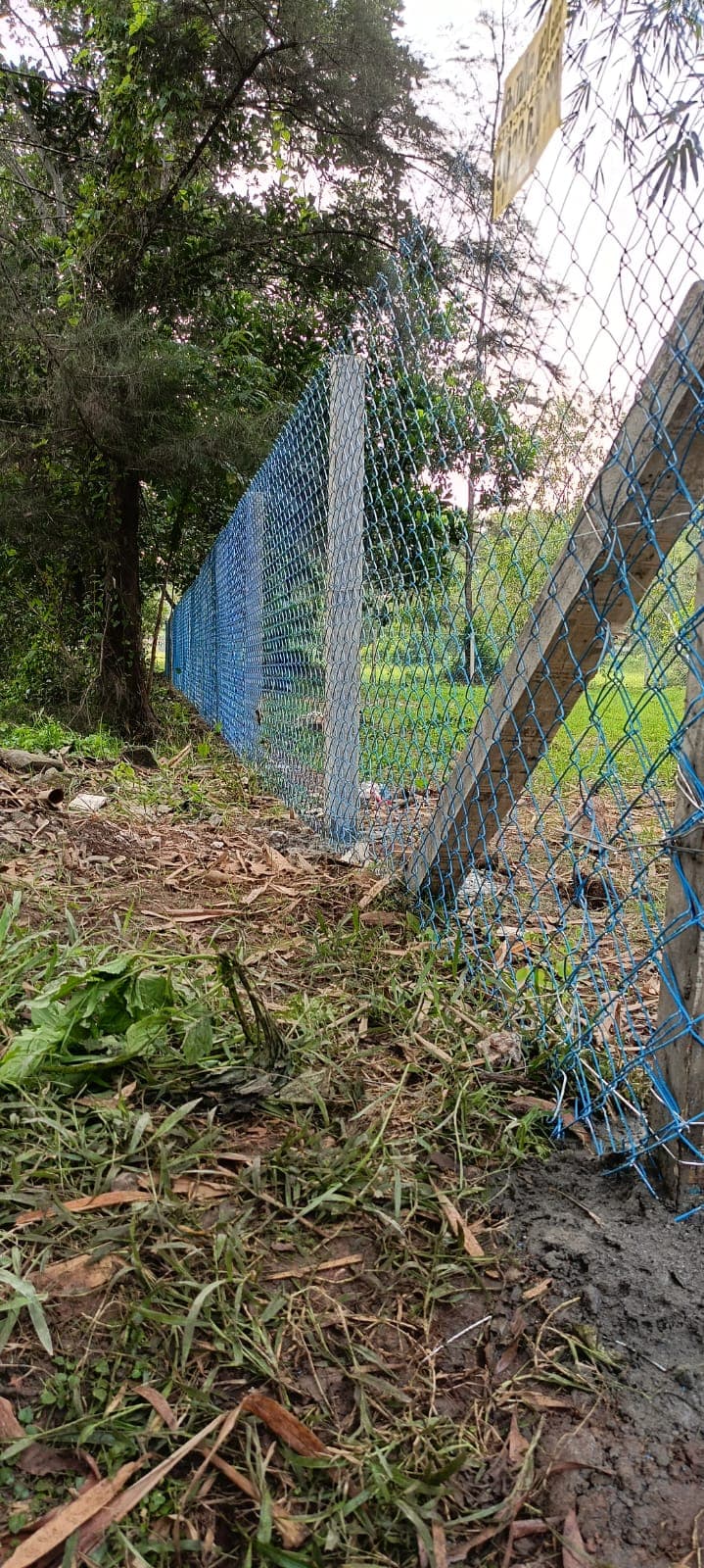 Iron Cross Fencing Agent
