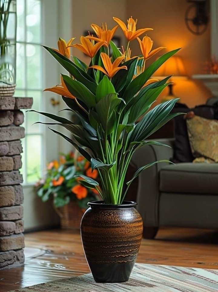 Dream Land landscaping And Nursery