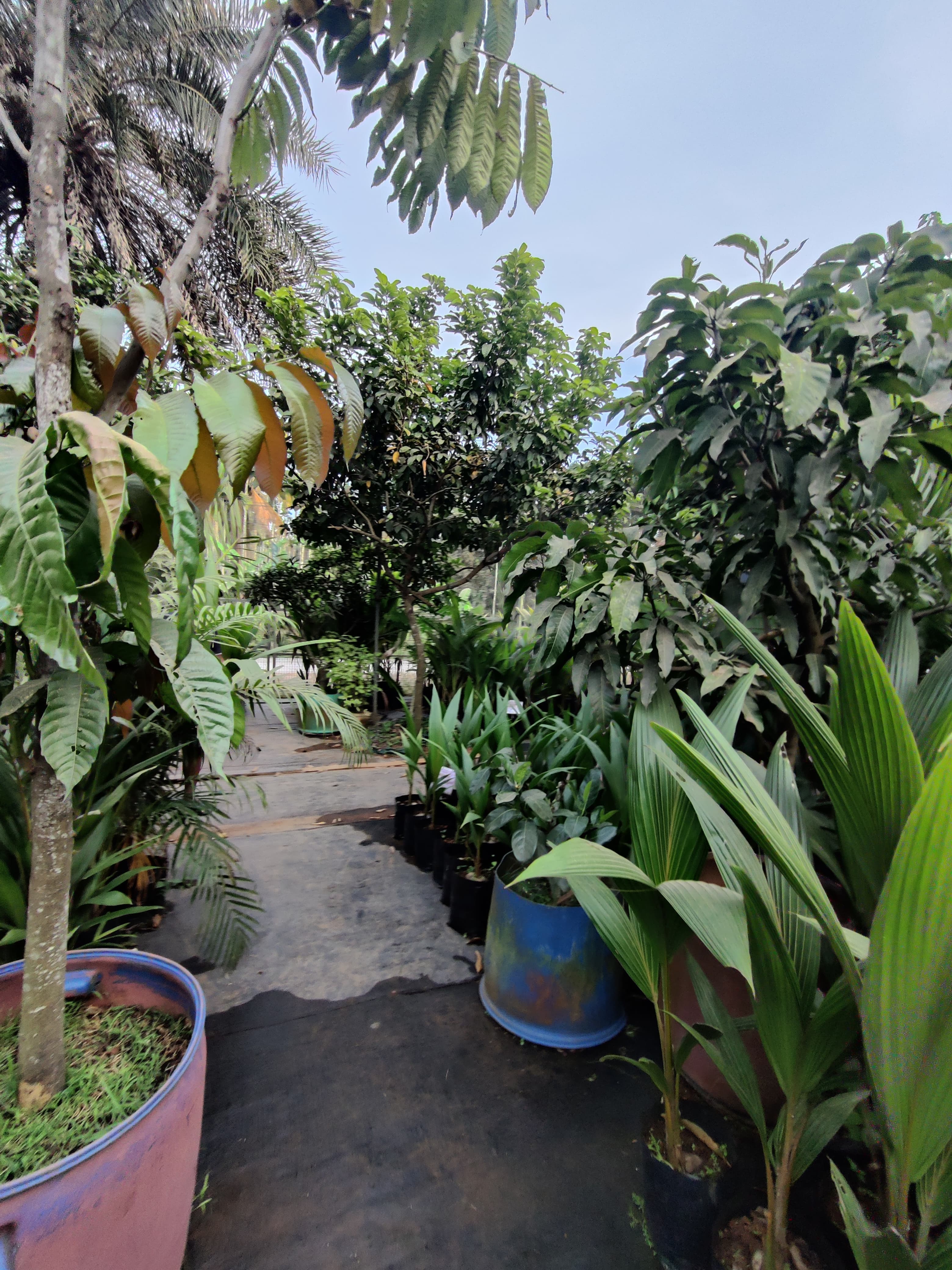  Green Leaves Agro Farm
