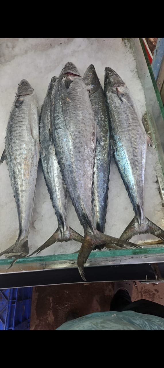 Daily Fresh