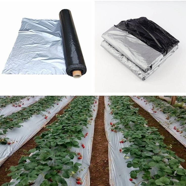 NAFT Agro