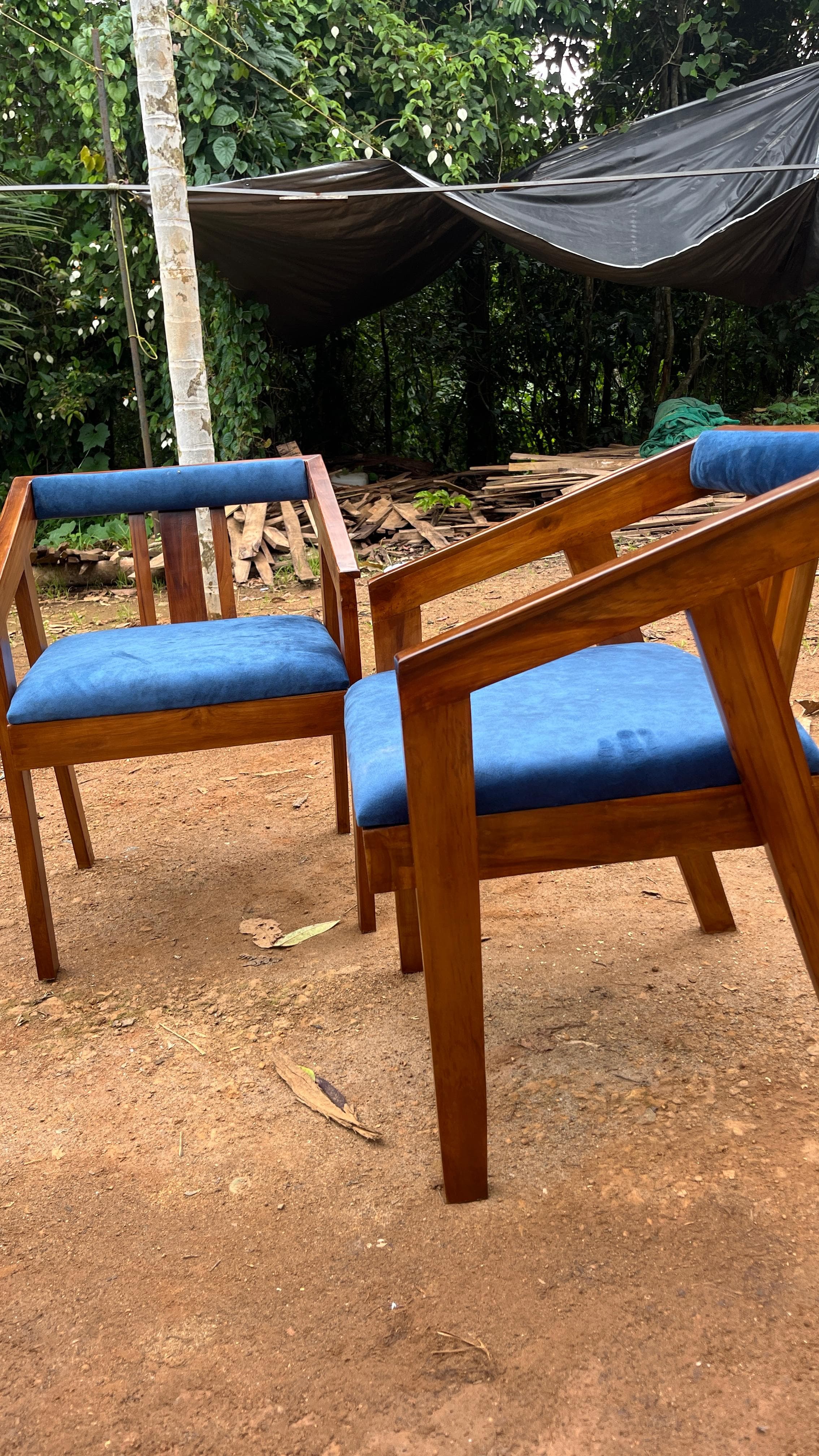Phoenix furniture