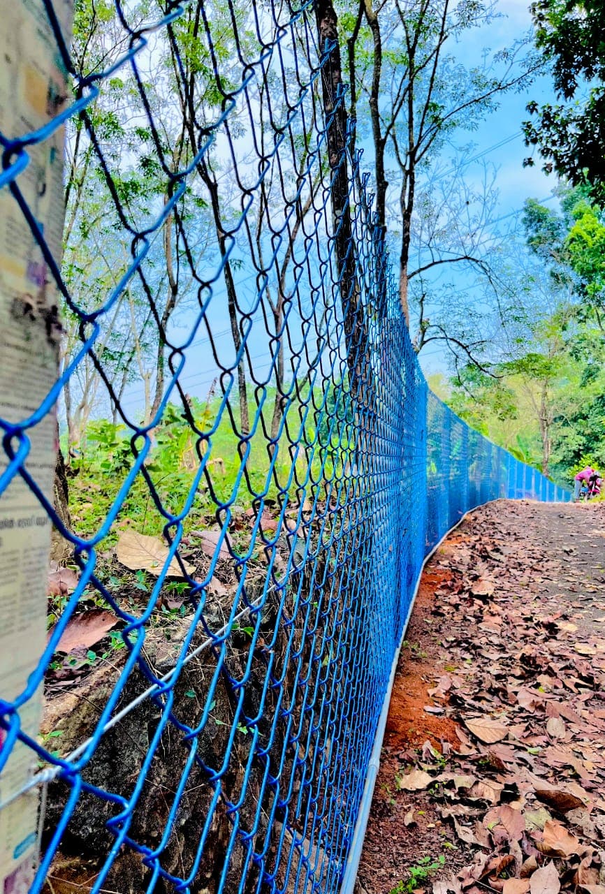 Paravoor Fencing