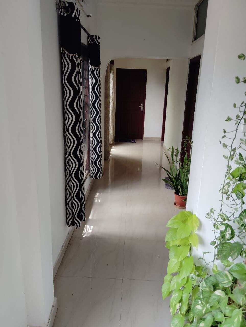 Taz Homestay