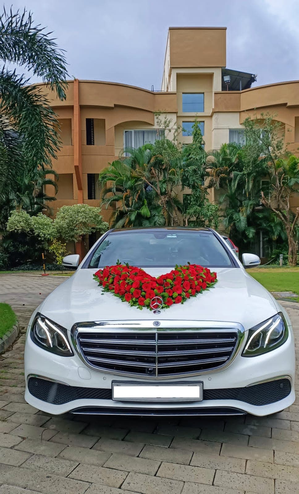 Cee Jay Tours & Travels