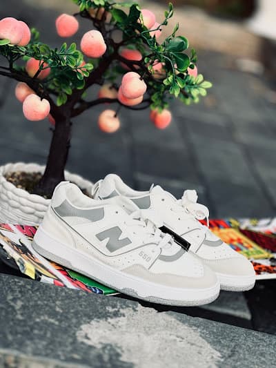  Shoe Club Kakkanad
