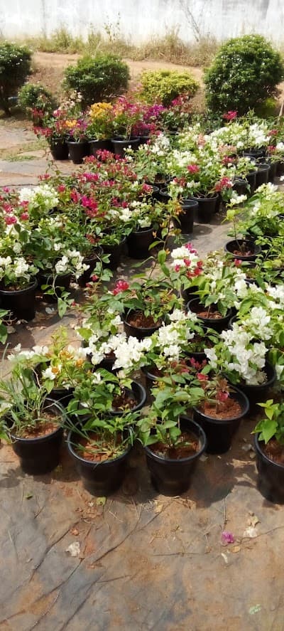Abhana's Garden