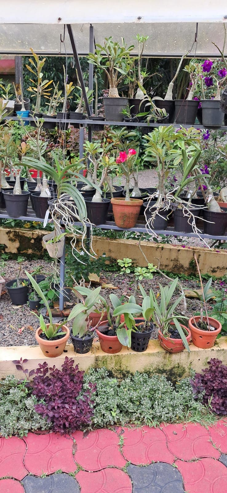 Ethan Garden
