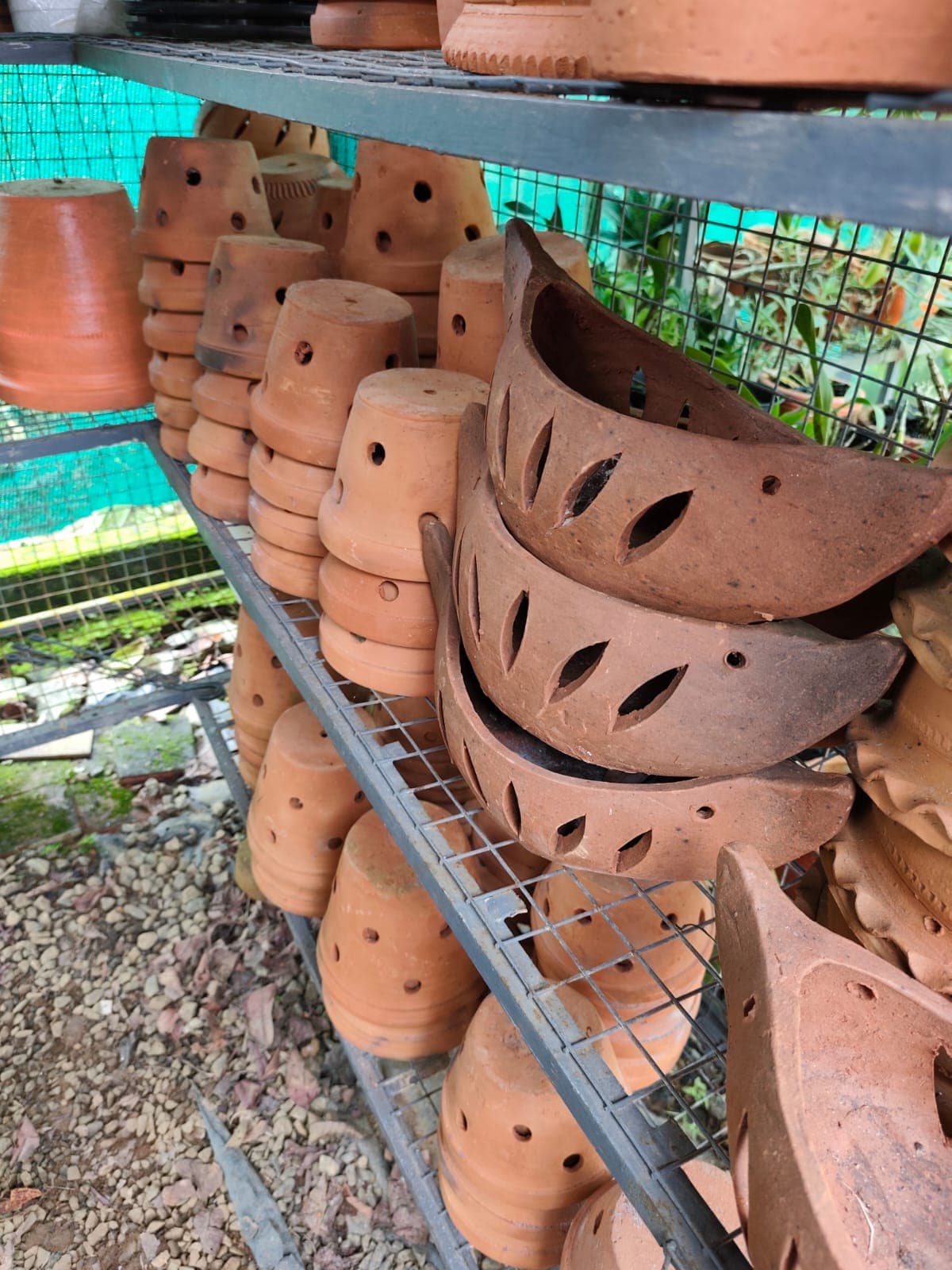 Ethan Garden