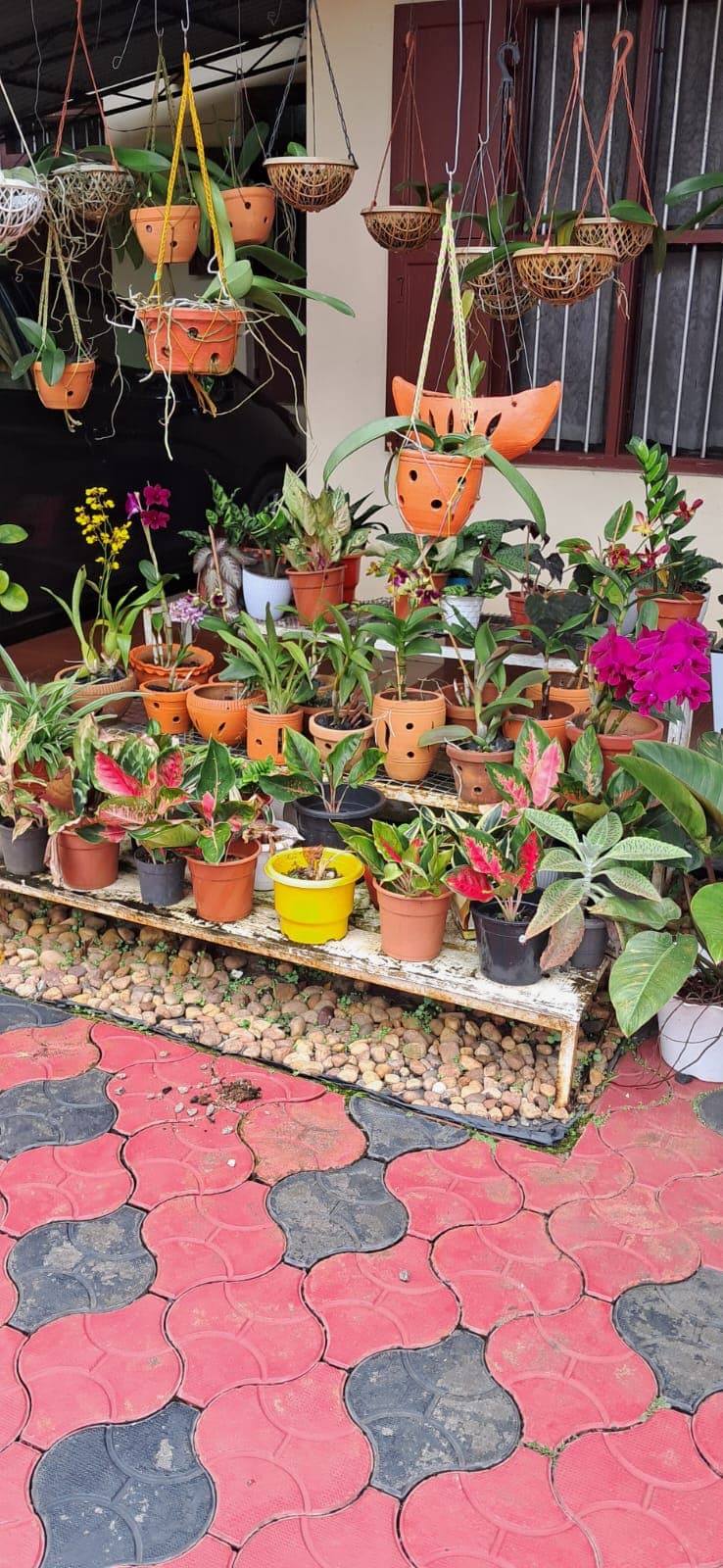 Ethan Garden