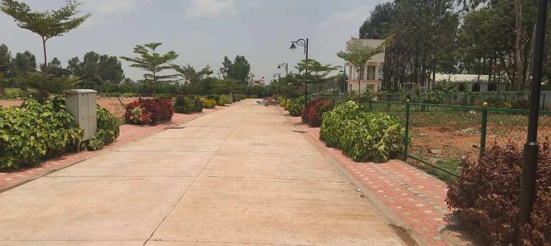 KNS metro properties