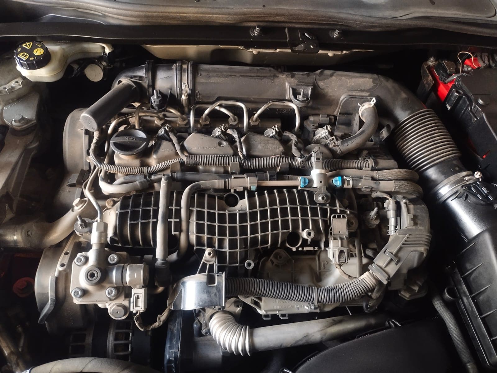 New Car Motors