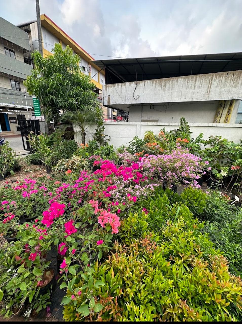 Elysian Gardens