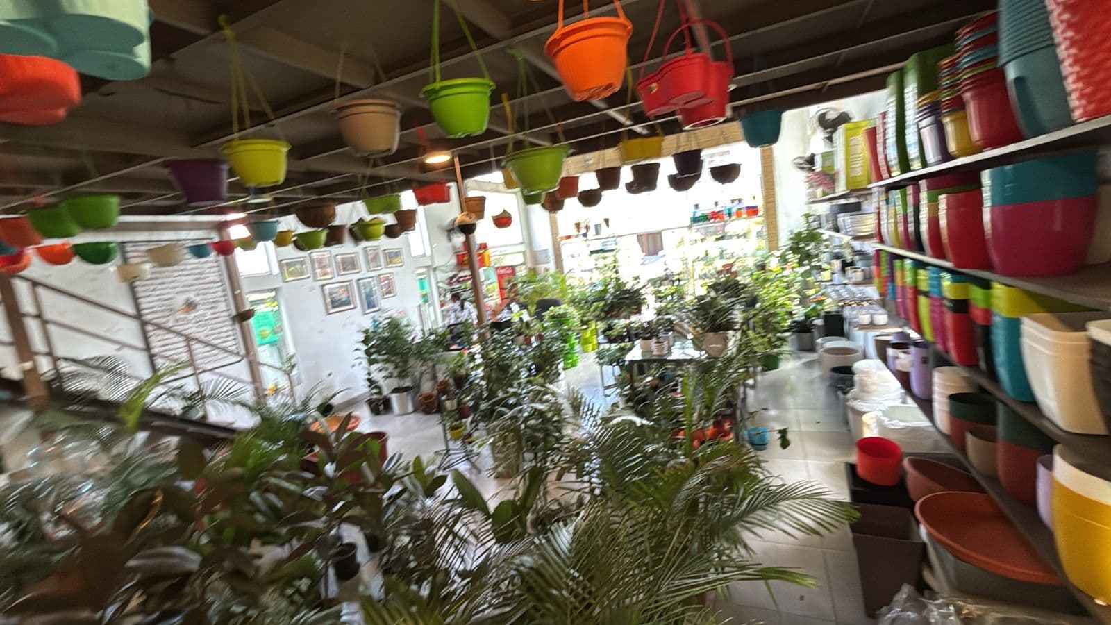City Garden Centre