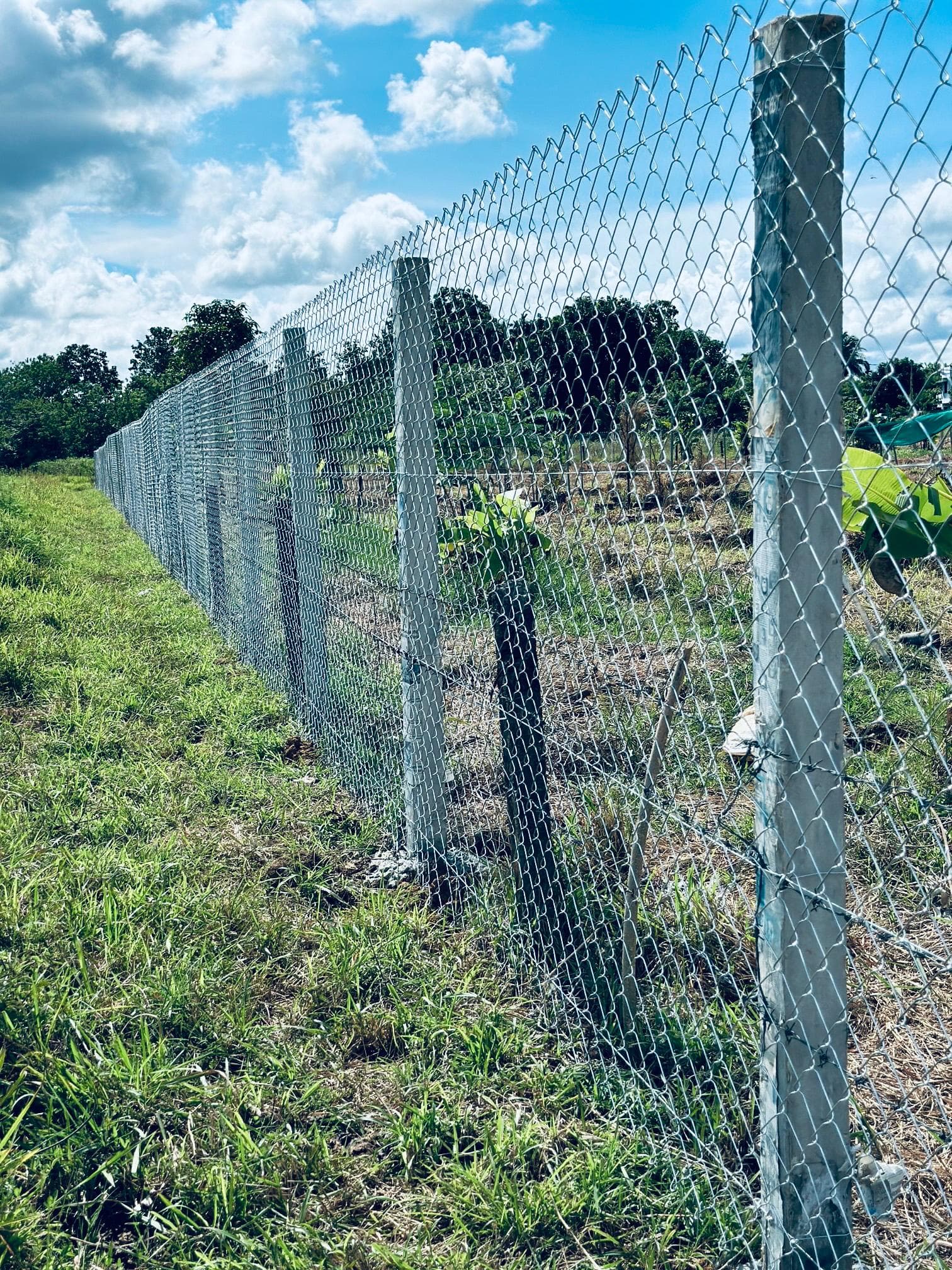 Kuwait Fencing Solutions