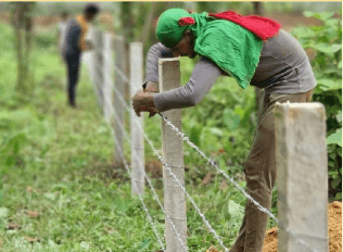 Ok Fencing Works 2