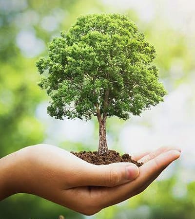 Poonkavanam Gardens & Nursery