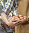 CK Egg Merchants