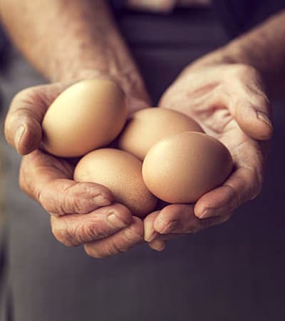 K.C.H Egg Merchants