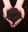 NTL Fertilizers & Chemicals Pvt Ltd 