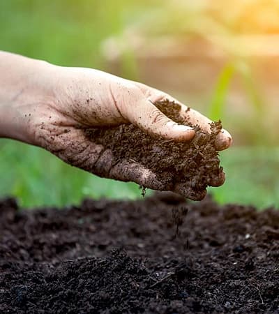 Phoenix Fertilizers And Traders